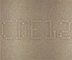 Բϸ꣺LT