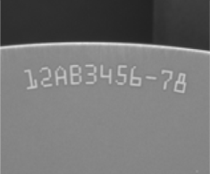 Բϸ꣺LN