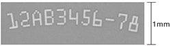 Բ ID ǣַ