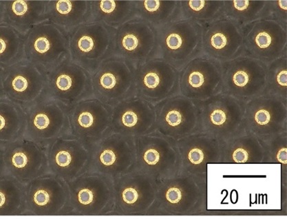 狭ピッチプローブ上面（約1500倍）