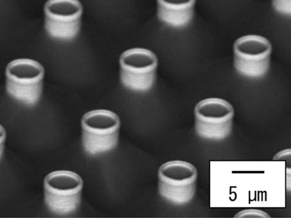 プローブ先端画像（約5000倍）
